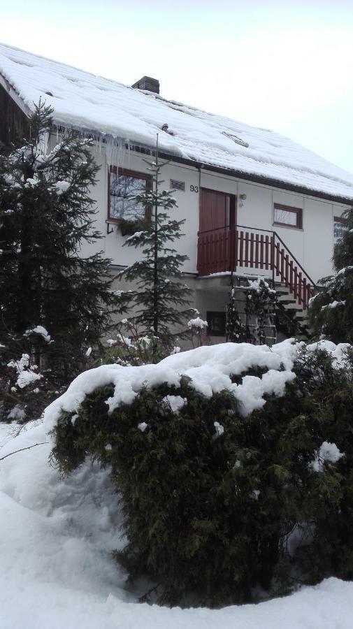 Ubytovani V Apartmanu Mladkov Exterior photo